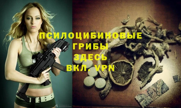 герыч Гусев