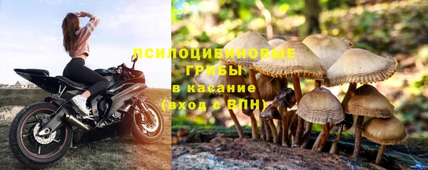 СК Гусиноозёрск