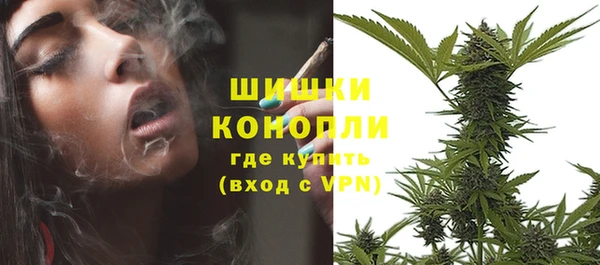 бутират Гусь-Хрустальный